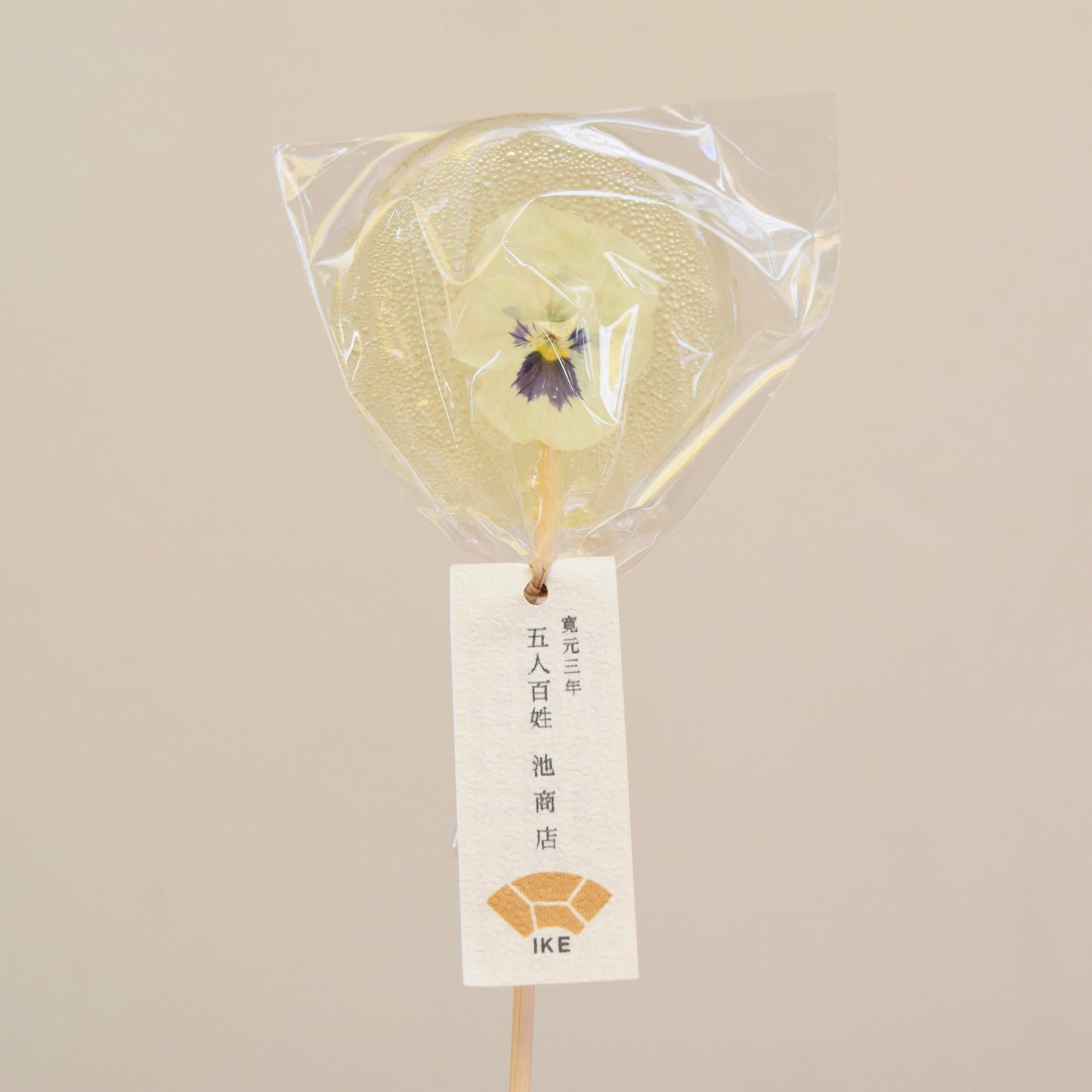五人百姓 池商店 飴屋さんのロリポップ(白色系ビオラ)
