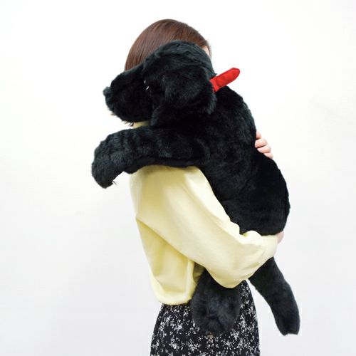 吉徳 ラブラドールレトリバーL ブラック