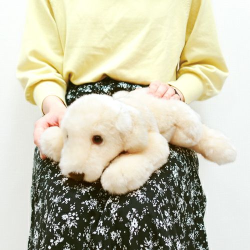 吉徳 ラブラドールレトリバーS ホワイト