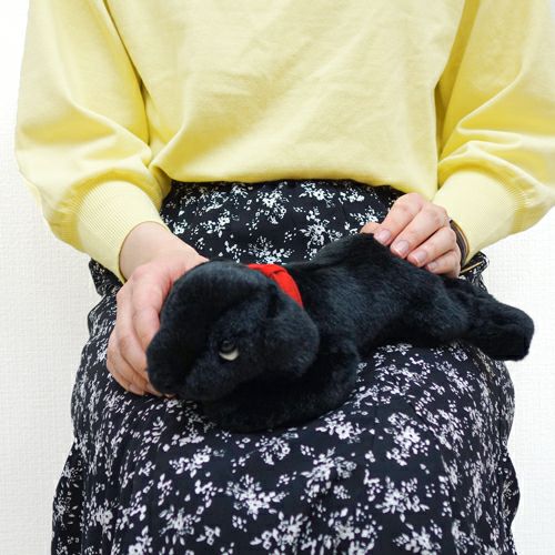 吉徳 ラブラドールレトリバーSS ブラック