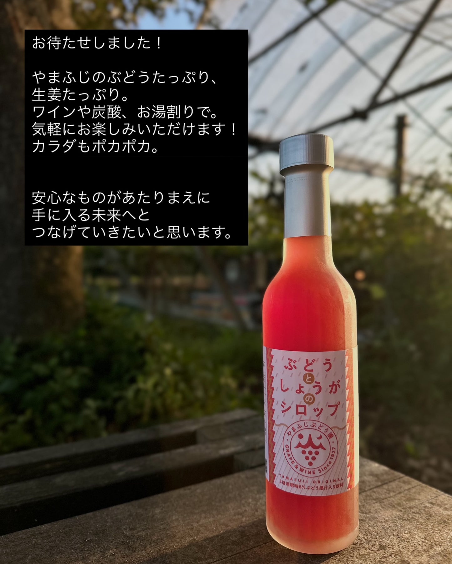 ホーライサンワイナリー ぶどうとしょうがのシロップ