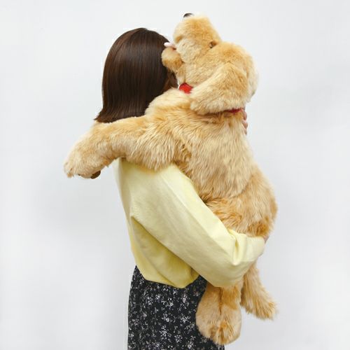 吉徳 ゴールデンレトリバー Lサイズ