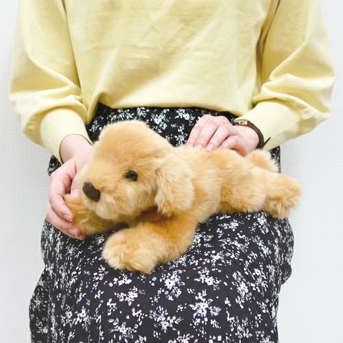 吉徳 ゴールデンレトリバー SSサイズ