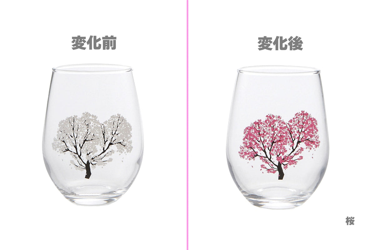 丸モ高木陶器 新柄冷感冷感フリーグラス（桜）