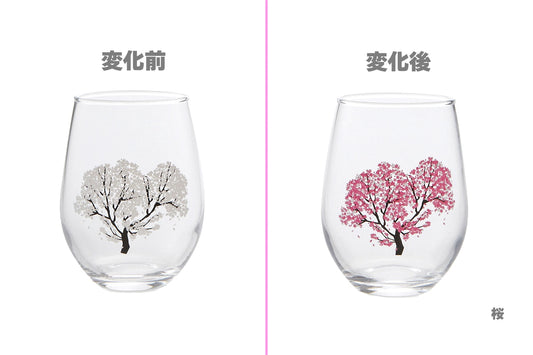 丸モ高木陶器 新柄冷感冷感フリーグラス（桜）