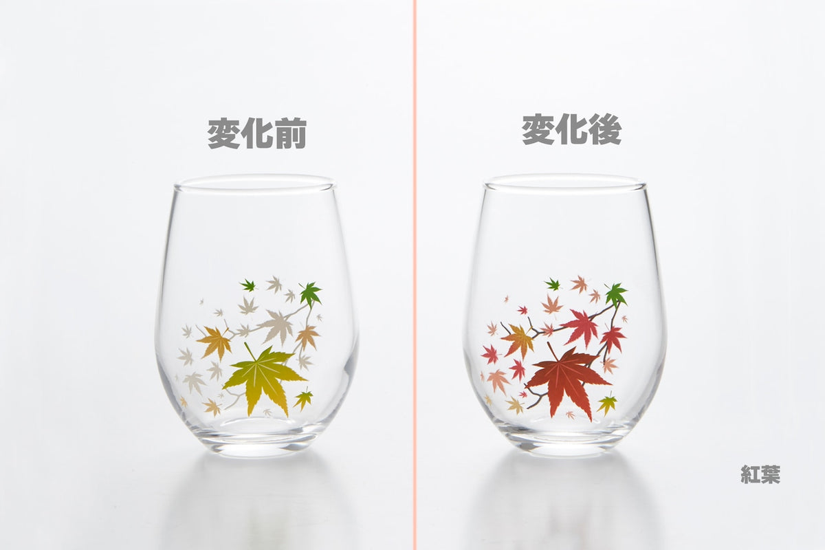 丸モ高木陶器 新柄冷感冷感フリーグラス（紅葉）