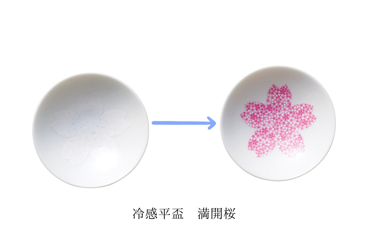 丸モ高木陶器  『新柄冷感平盃』『単品』新シリーズ