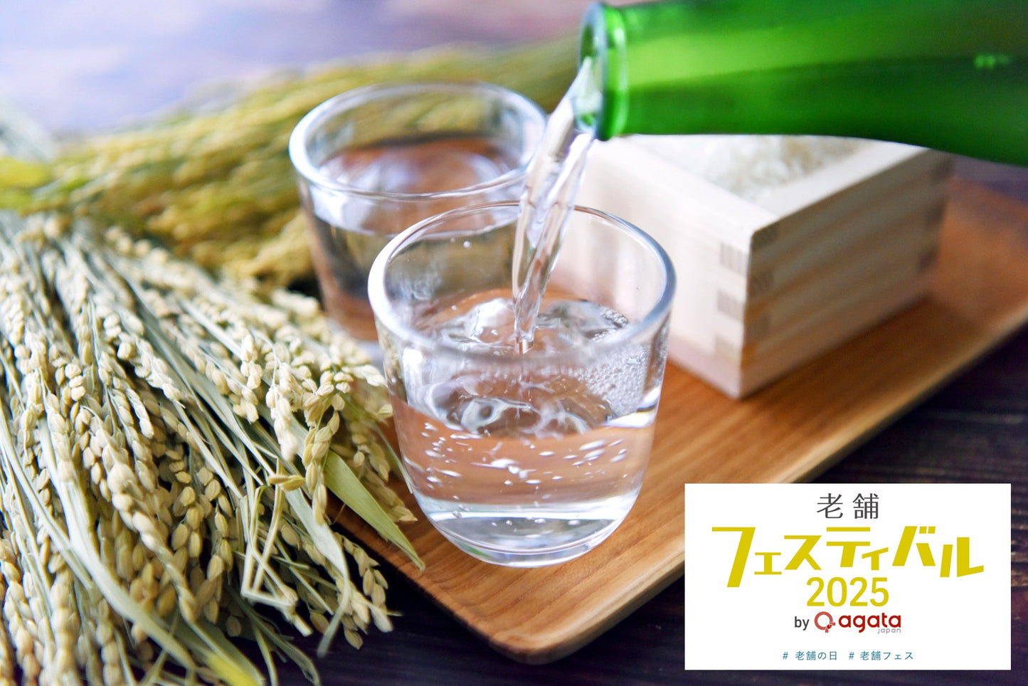 販売終了【前売】数量限定！全国各地のお酒を飲み比べチケット／老舗フェスティバル2025