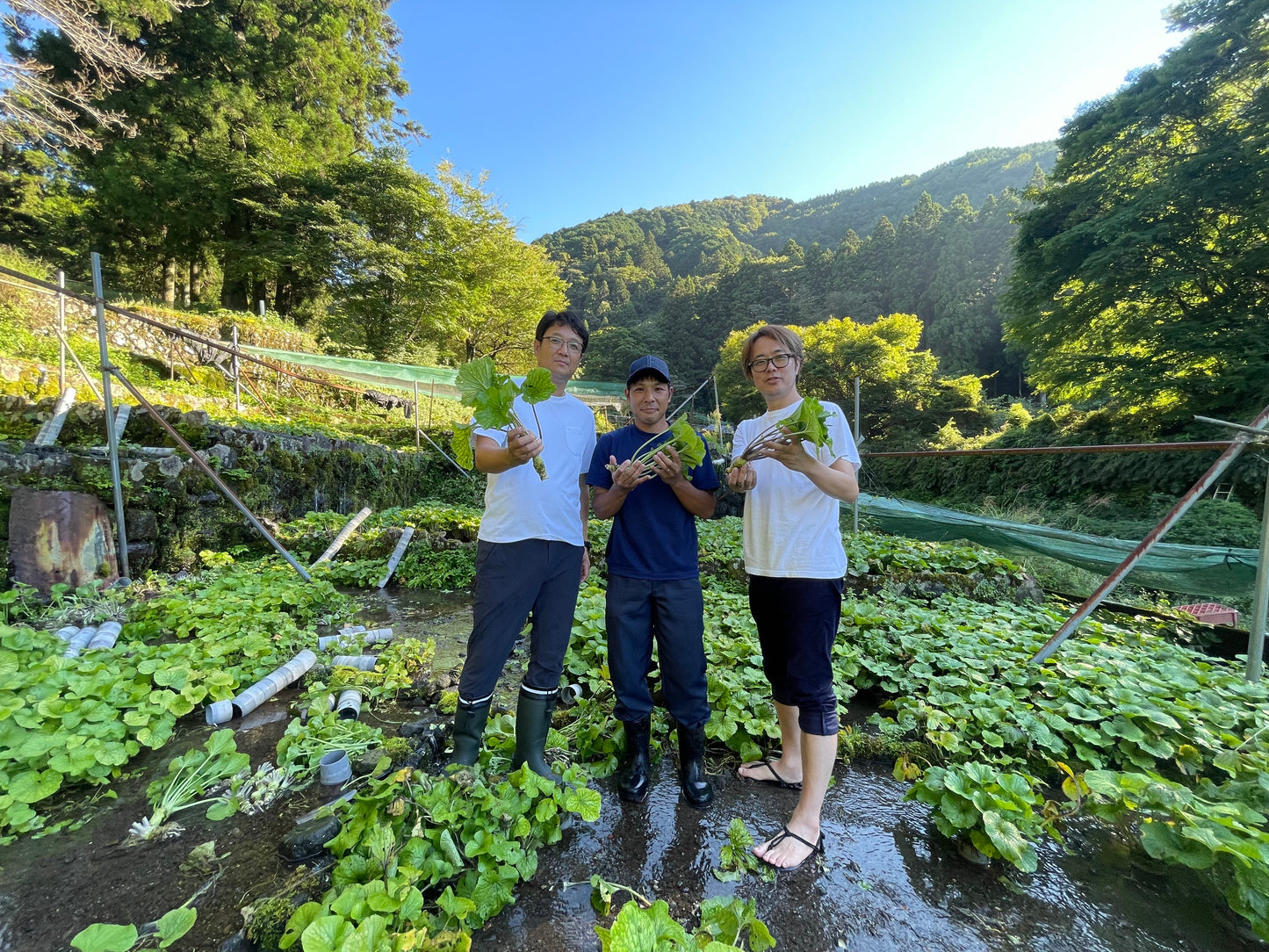 agataJapan ORIGINALS 静岡県ジン