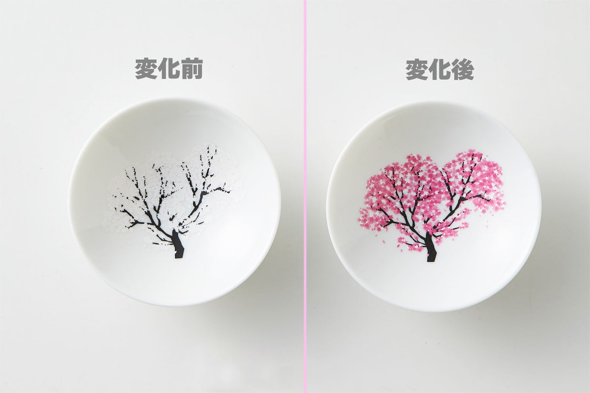 【老舗フェスティバル特別品】丸モ高木陶器 冷感平盃　桜