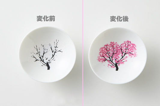 【老舗フェスティバル特別品】丸モ高木陶器 冷感平盃　桜